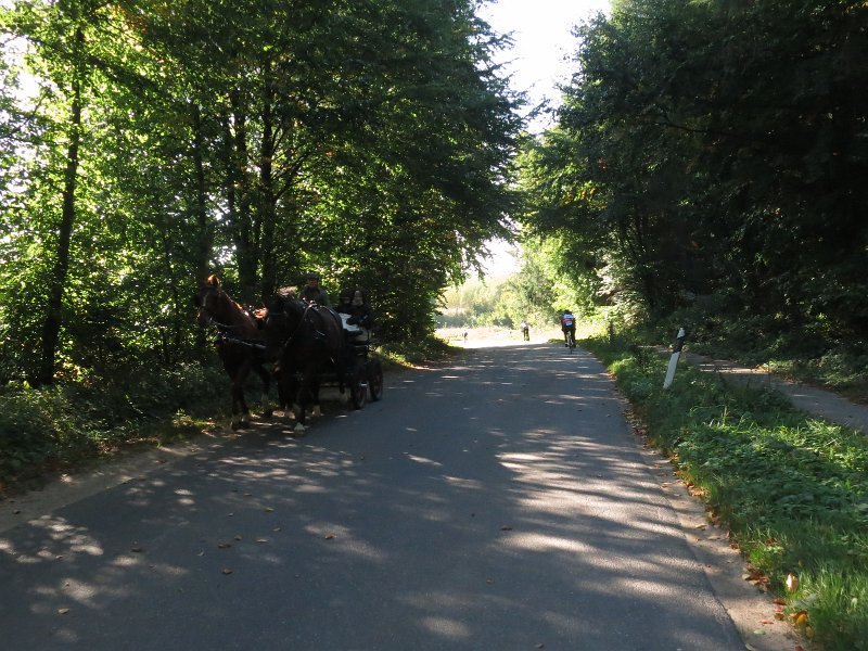 RTF Almabtrieb 114